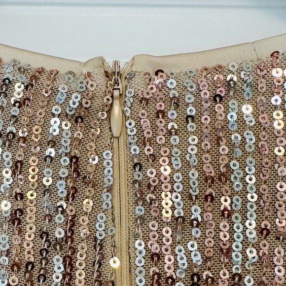 NEW!🆕 Balticborn, Champagne, Sequin, Midi dress, Large - Picture 4 of 8